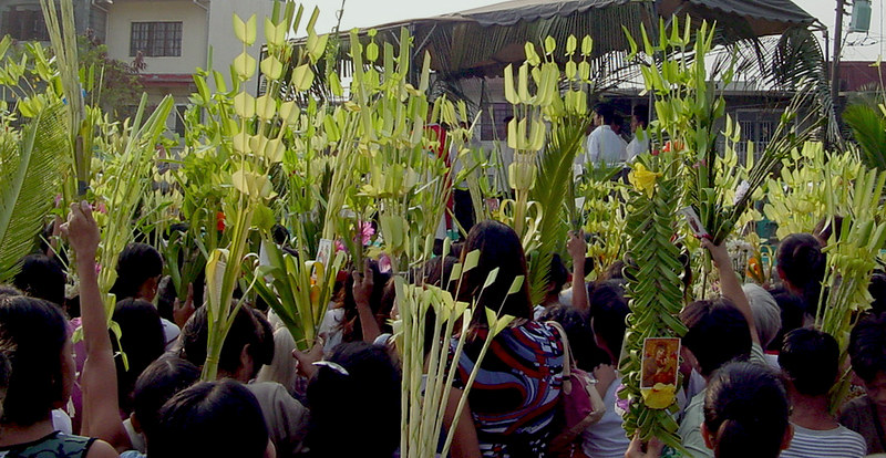 2329117975_767c5642d7_c